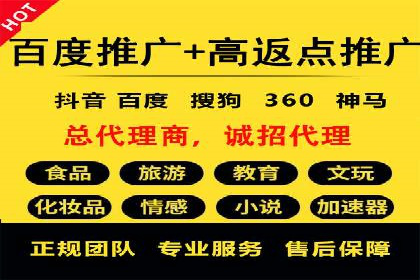 百度推广实战：成功企业的营销策略
